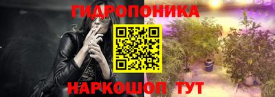 дживик Кимры