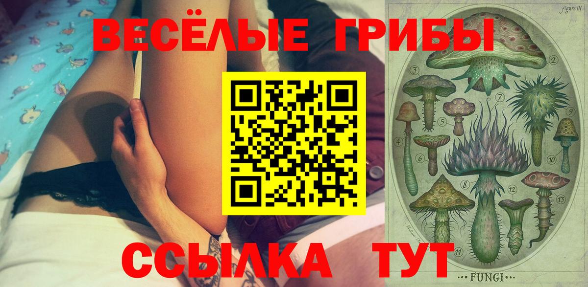 Галлюциногенные грибы MAGIC MUSHROOMS  Вход с VPN  Псилоцибиновые грибы Magic Shrooms  магазин    Кореновск 